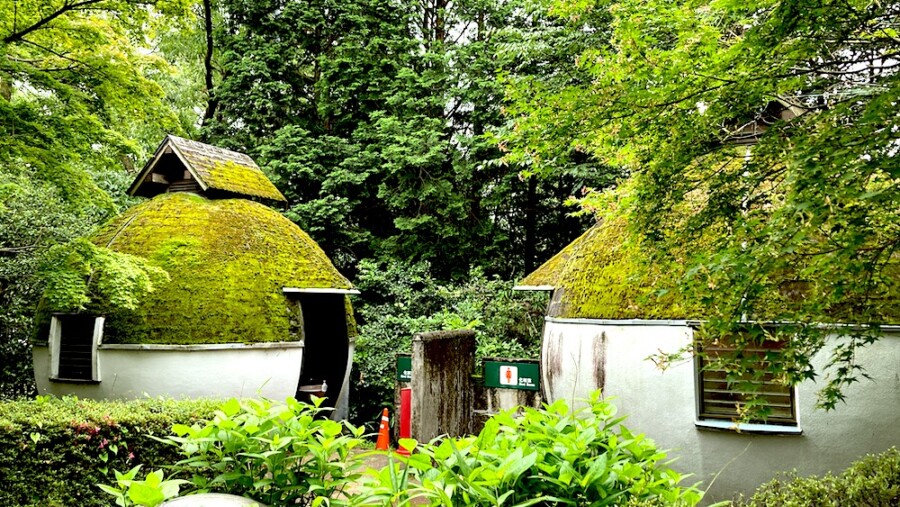 熊本県西原村青少年の森「風の里」キャンプ場の夕日とトイレがエモい